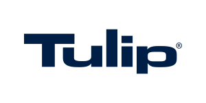Tulipán-300x150